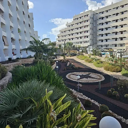 With Sea View Near The Playa de las Americas (Tenerife)